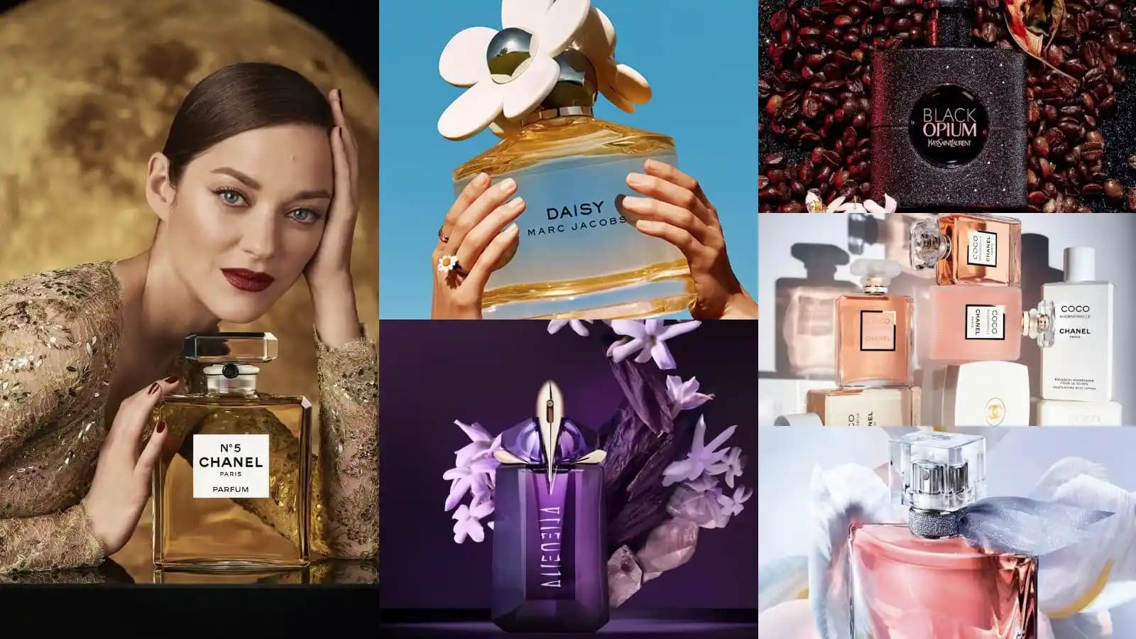 Dünyanın En Güzel Kokusu Olan Parfüm: Kişisel İmajınızı Tamamlayan Seçenekler ve İpuçları