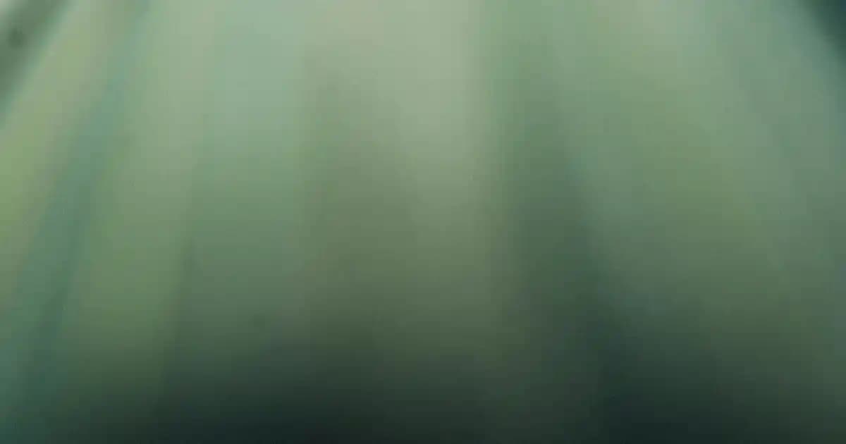 En iyi fondöten seçimleri ve makyajda doğru ürün kullanımı rehberi