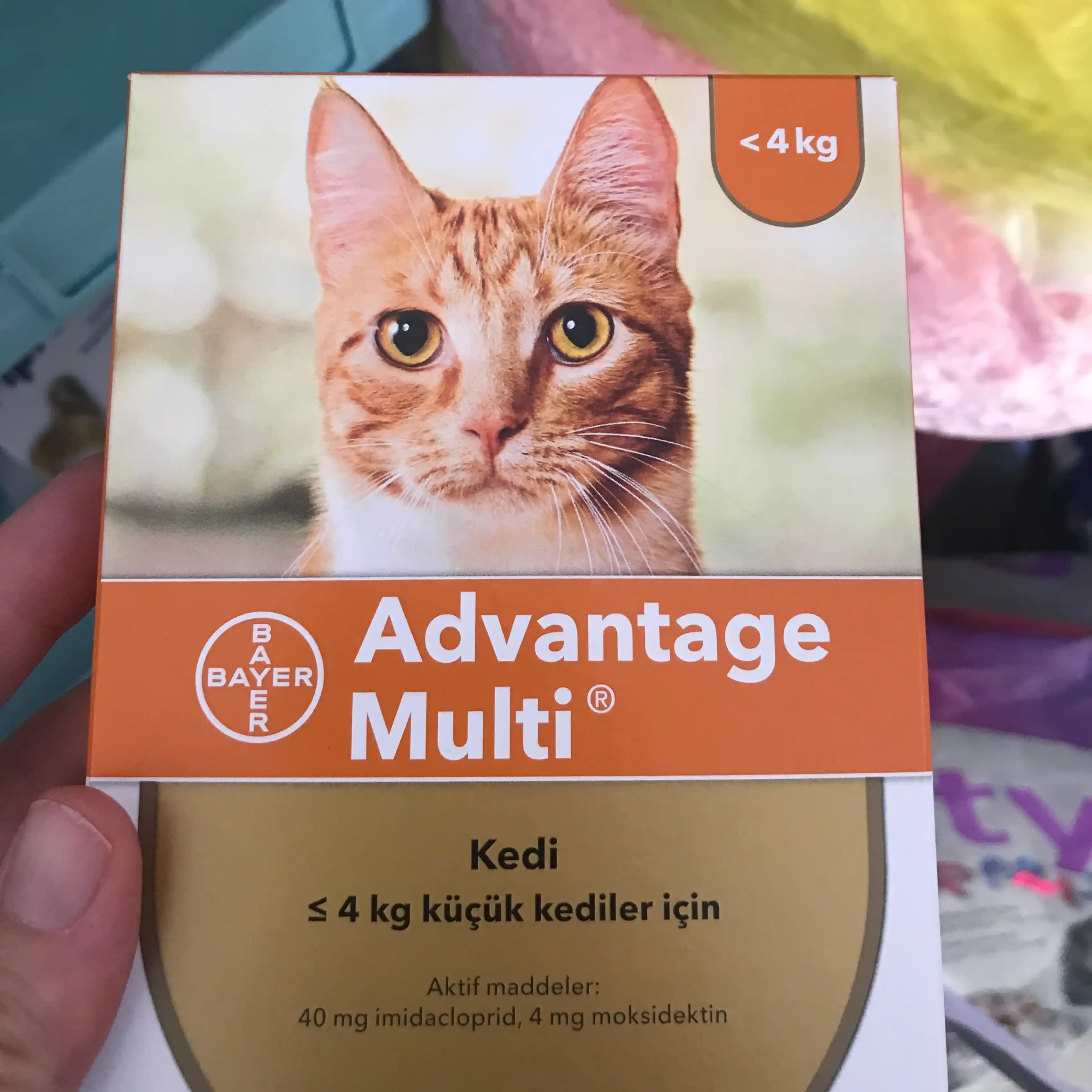 En İyi İç Dış Parazit İlacı Seçimi: Güvenli ve Etkili Bir Rehber