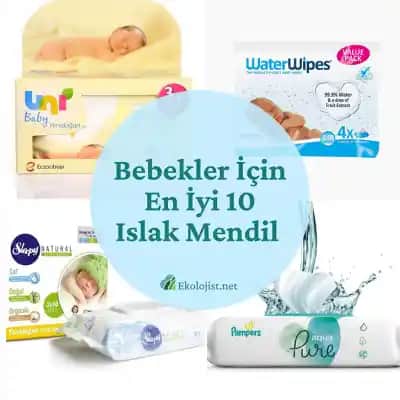 En İyi Islak Mendil Seçimi: Doğru Ürünleri Belirlemek İçin Kapsamlı Rehber