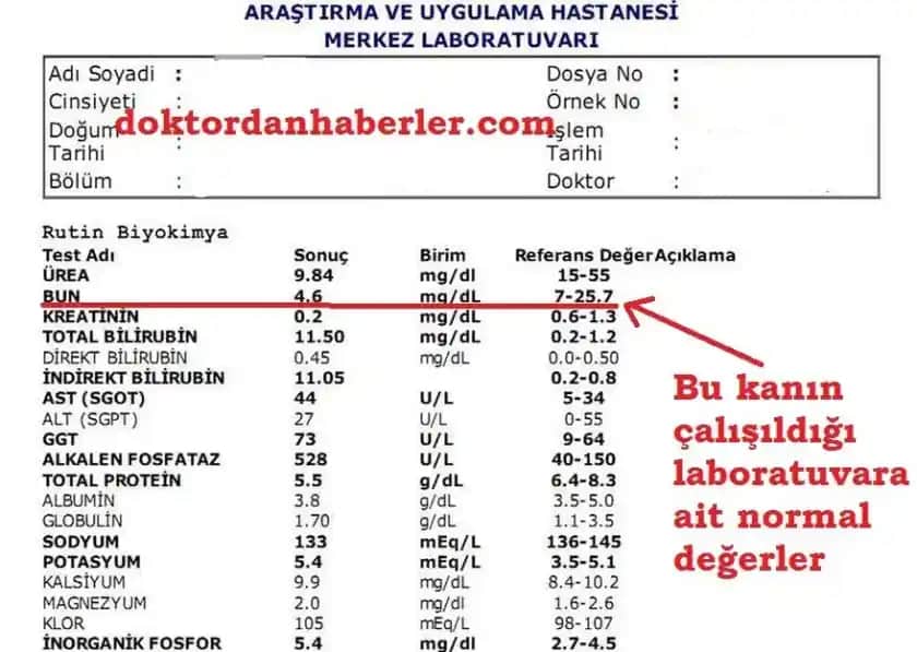 Keratin Nedir, Normal Değeri ve Kozmetikteki Önemi Hakkında Detaylı Bilgi