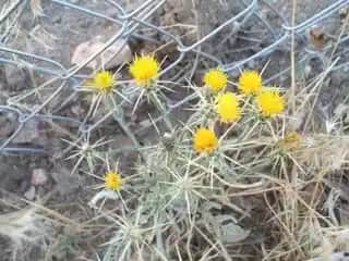 Kıratin ile Doğal ve Etkili Cilt Bakımı Çözümleri Gelişen Trendler ve Faydaları