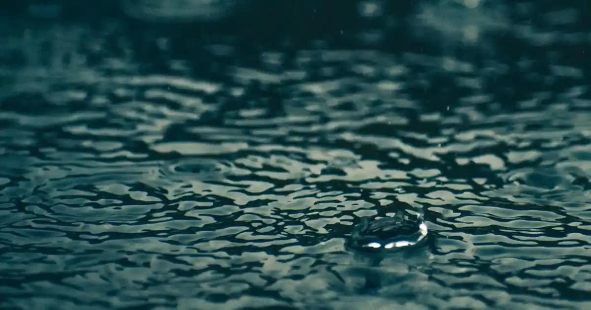 Kuru Kepek Nedir Nasıl Anlaşılır ve Etkili Çözüm Yolları