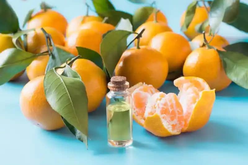 Mandalina ve C Vitamini: Doğal Güzellik ve Sağlık İçin Güçlü Bir Kaynak