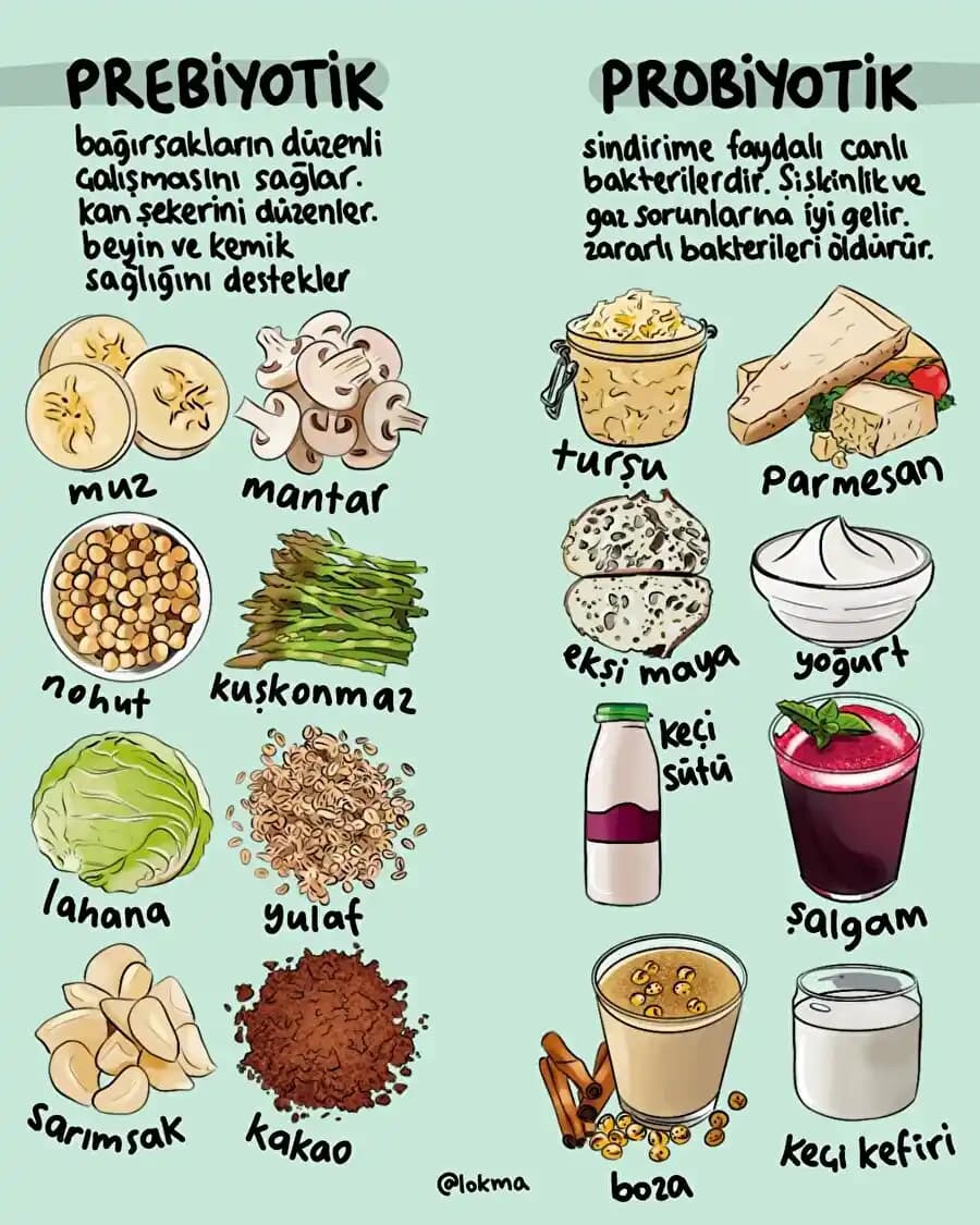 Prebiyotik ve Probiyotikler: Cilt ve Genel Sağlık İçin Doğal Çözümler