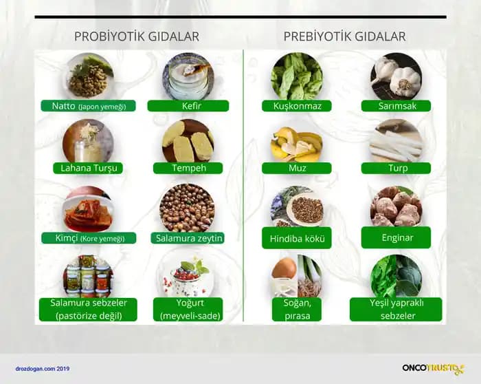 Prebiyotik Yiyecekler ve Cilt Sağlığına Faydaları Doğal Güzellik İçin Bilmeniz Gerekenler