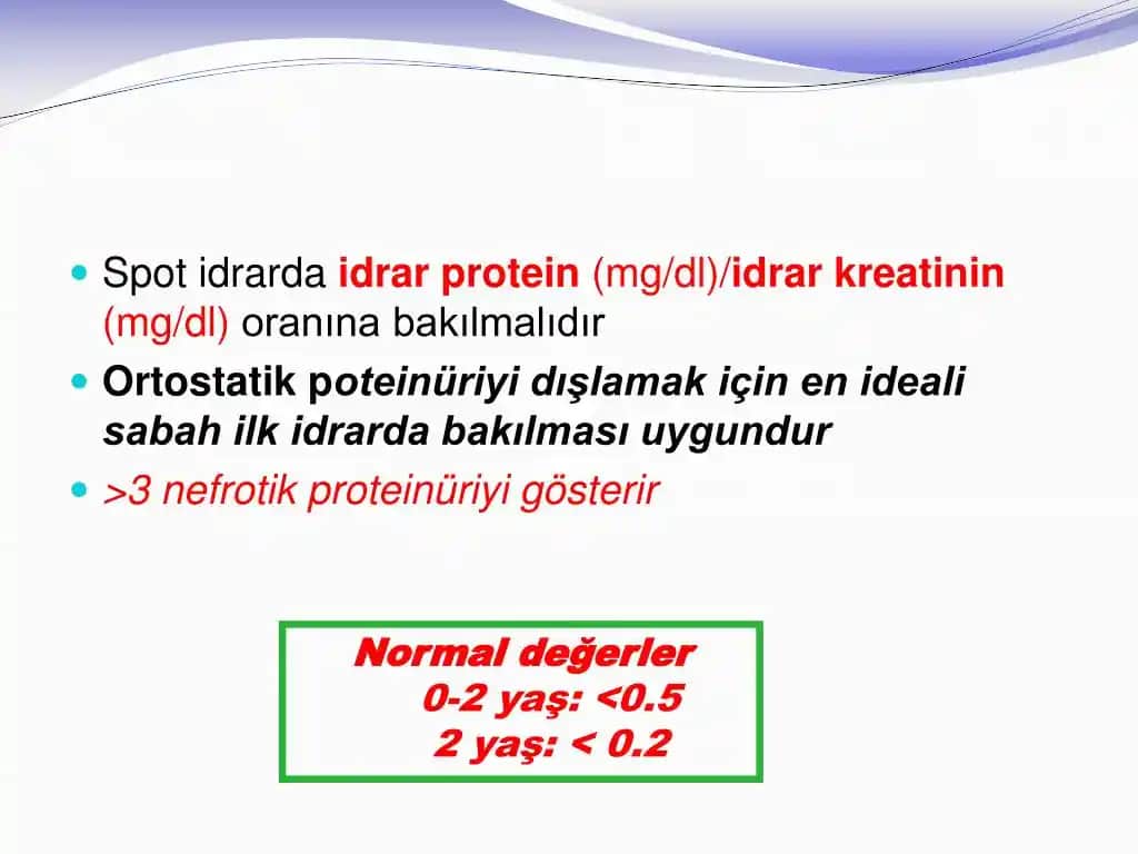 Protein Kreatinin Oranı ve Kozmetik & Kişisel Bakımda Rolü Sağlıklı Denge İçin Bilmeniz Gerekenler