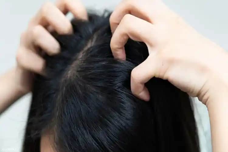 Saç Diplerine İyi Gelen Doğal ve Etkili Çözümlerle Saç Sağlığını Destekleme Rehberi