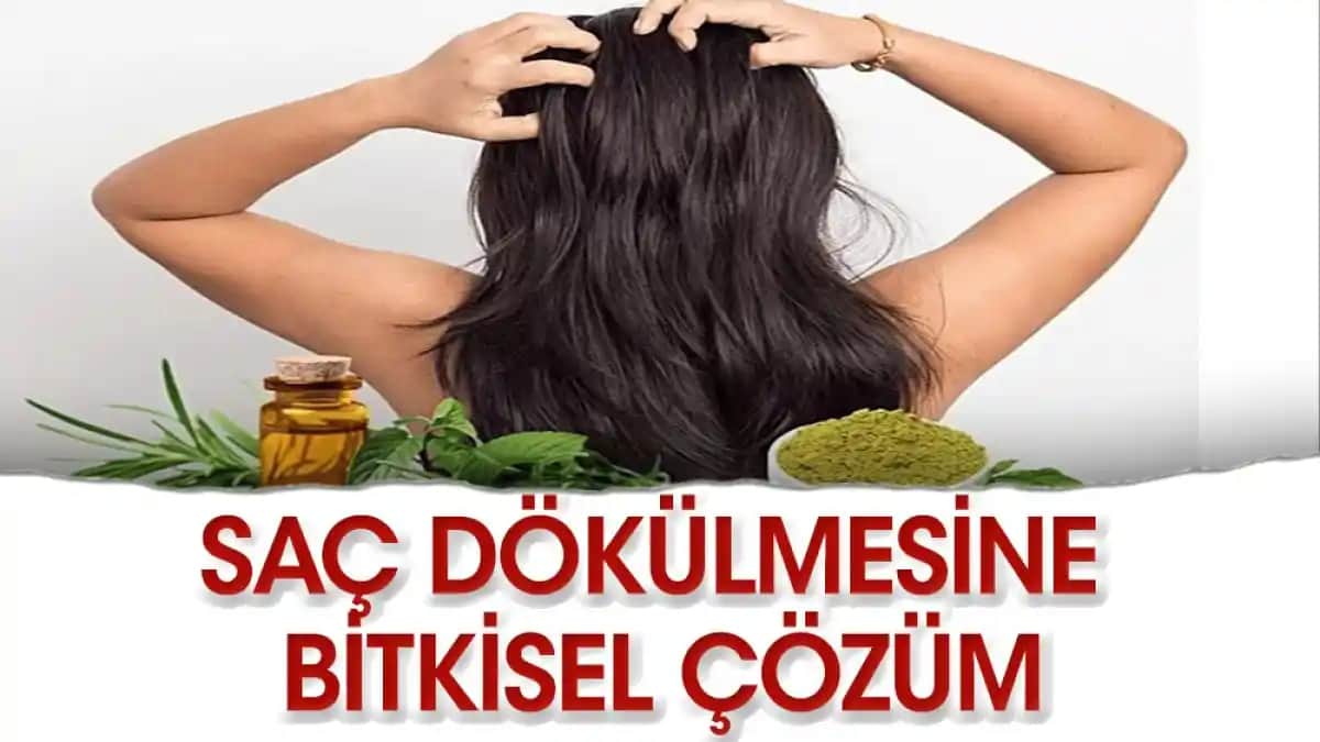 Saç Dökülmesine Karşı Doğal Yöntemler ve Bitkisel Çözüm Tavsiyeleri