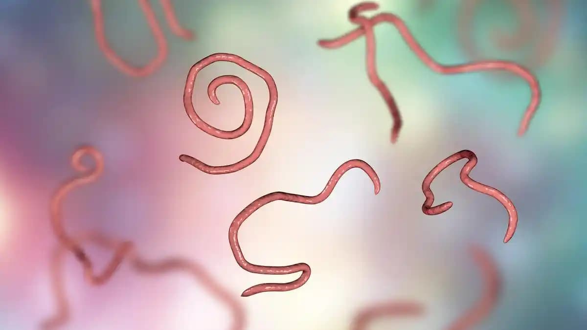 Saç Dökülmesini Önleme Yöntemleri ve Kıl Sağlığını Koruma Stratejileri