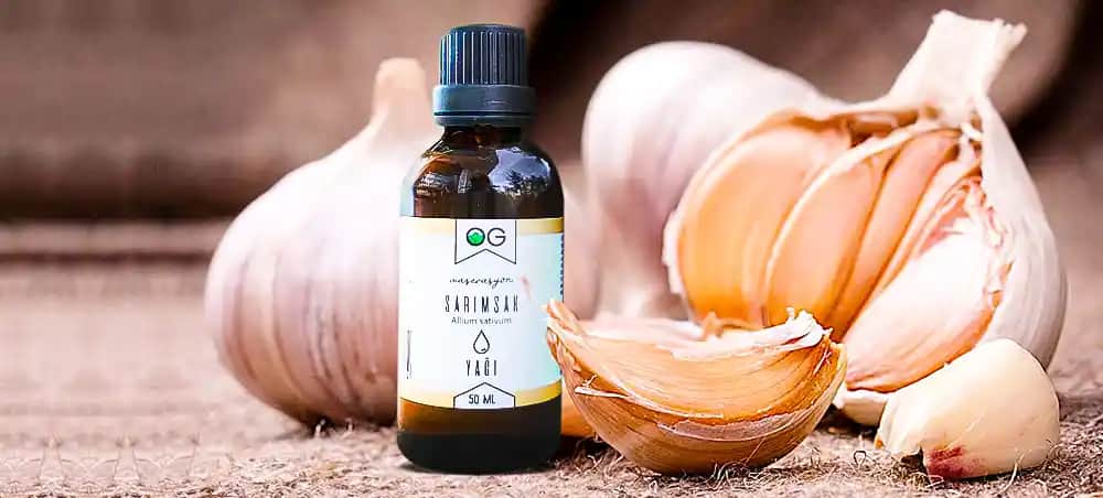 Sarımsak Yağı Saça Uygulama Yöntemleri ve Saç Sağlığını Destekleyen Doğal Çözümler
