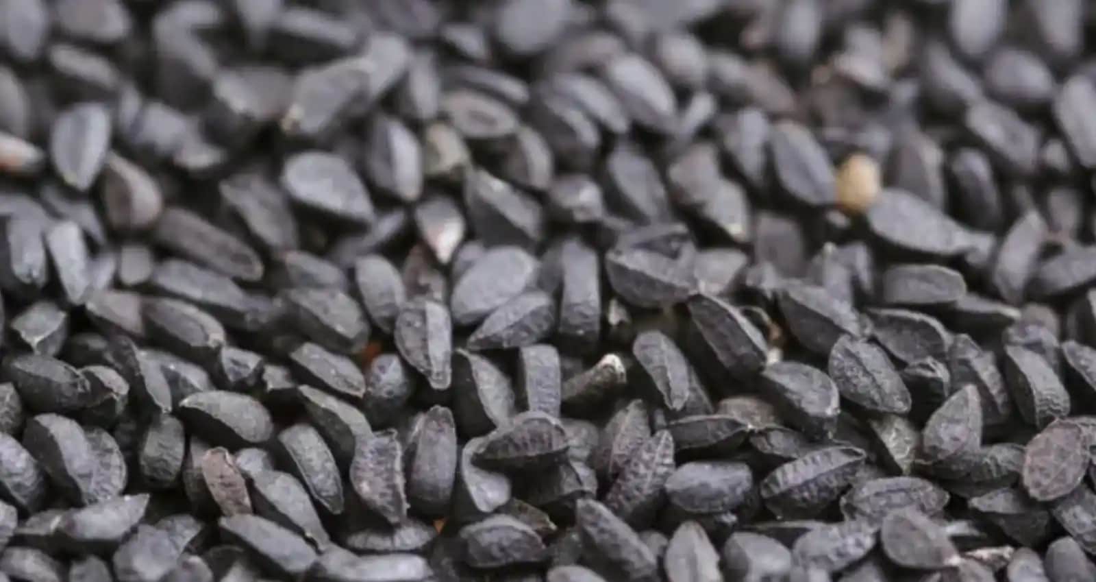 Siyah Kimyon Tohumu: Kozmetik ve Kişisel Bakımda Doğal Güç Kaynağı