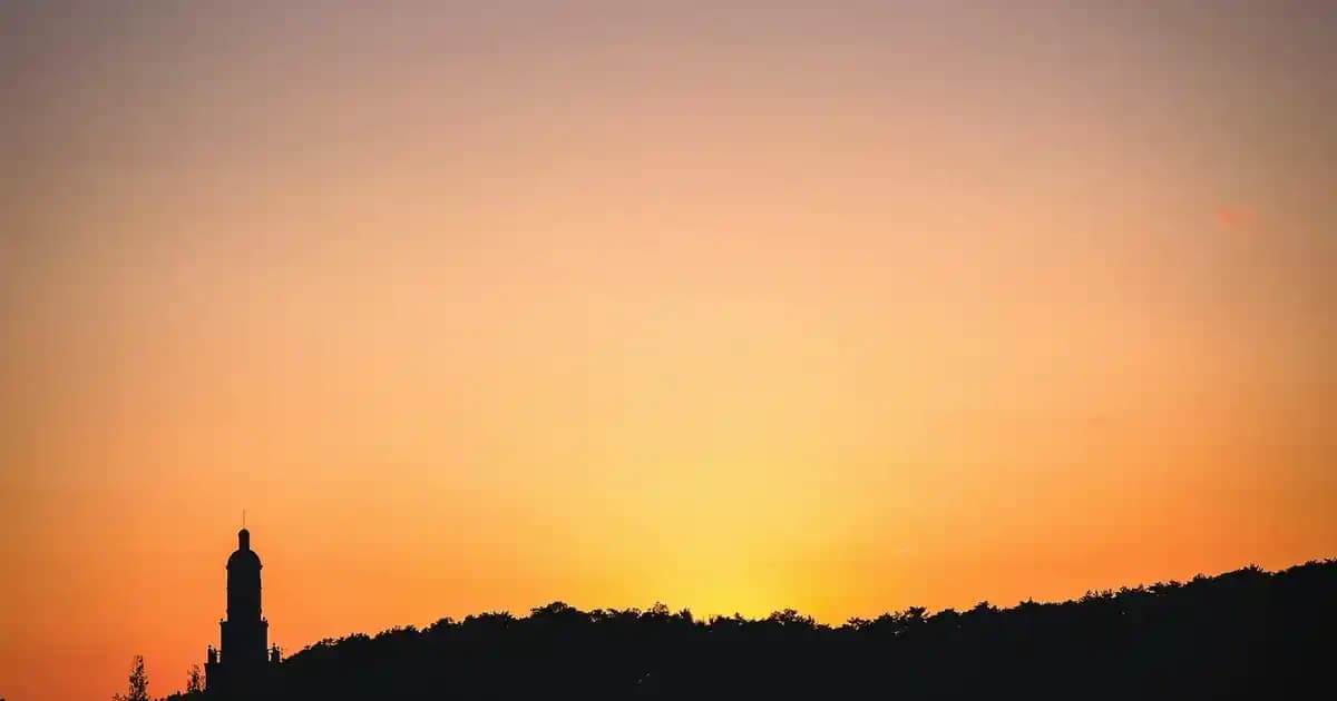 Smart Gummies Defence ile Gelişmiş Koruma ve Güzellik Sağlayan Yenilikçi Takviye Ürünü