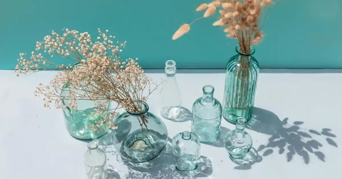 Vitamin D Gummies ile Cilt Sağlığı ve Güzellikte Yeni Trendler Hakkında Kapsamlı Rehber