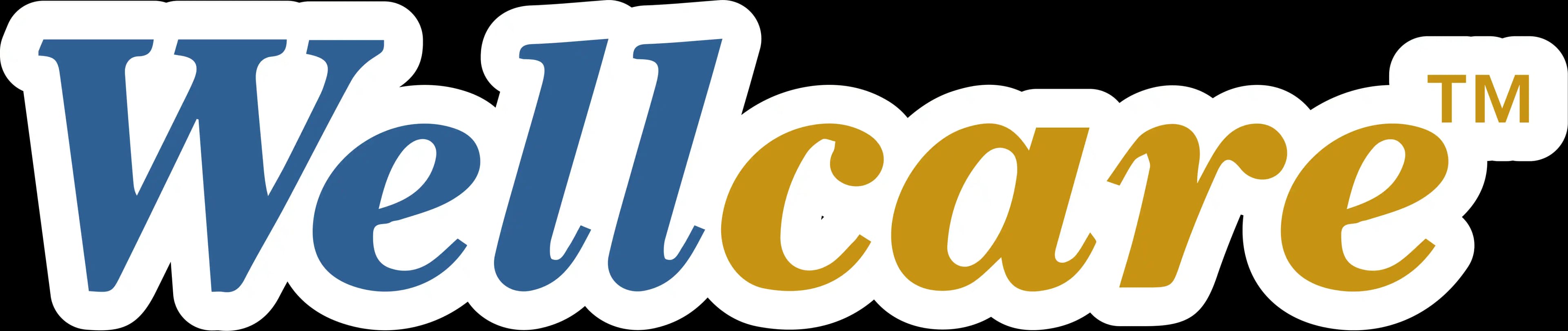 Wellcare ile Güvenli ve Kaliteli Kişisel Bakım Çözümleri Sunan Güvenilir Marka