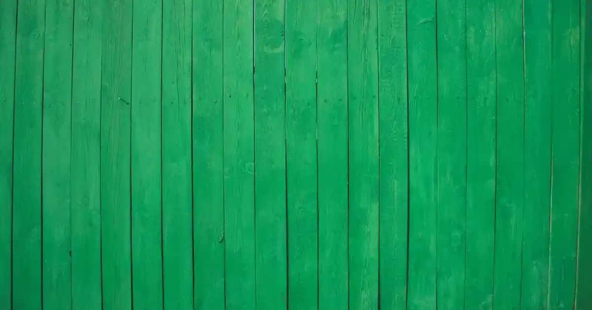 XP Ruj Nedir ve Neden Günümüz Kozmetikte Popülerlik Kazanıyor