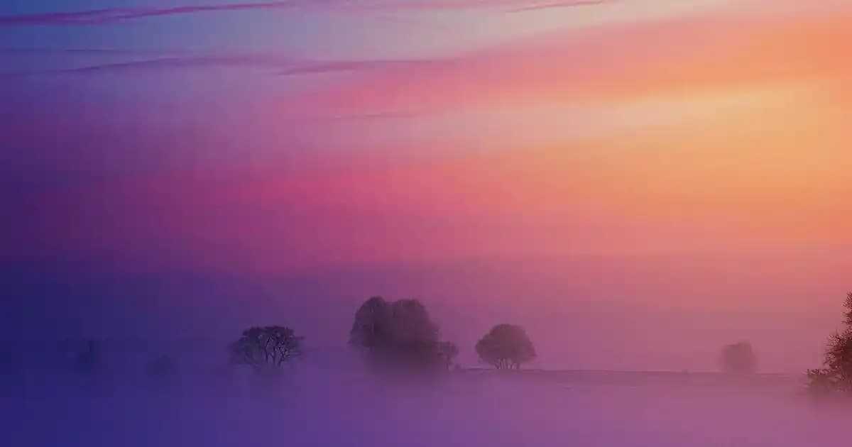 Yağsız Yüz Kremleri: Doğal ve Hafif Formüllerle Sağlıklı Cilt Bakımı