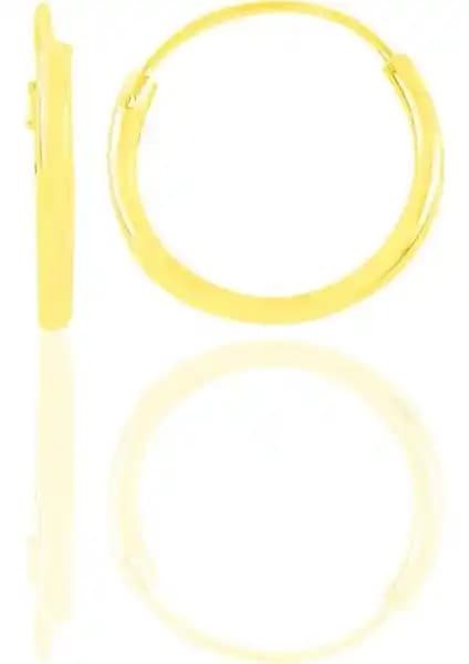 925 Ayar Gümüş Üzerine Altın Yaldızlı Mini Halka Küpe: Tasarım ve Kullanım İncelemesi