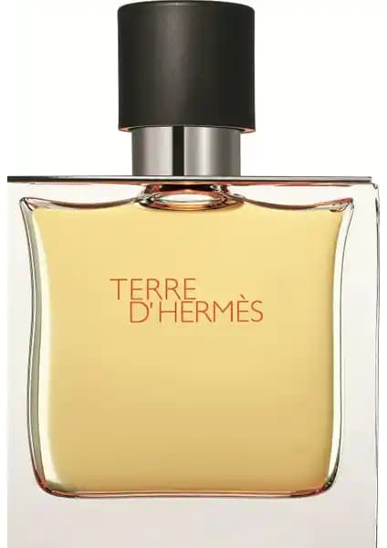 Hermes Terre D'Hermes Edt 100 Ml Erkek Parfümü: Odunsu ve Ferah Aromasıyla Şıklık Sunar