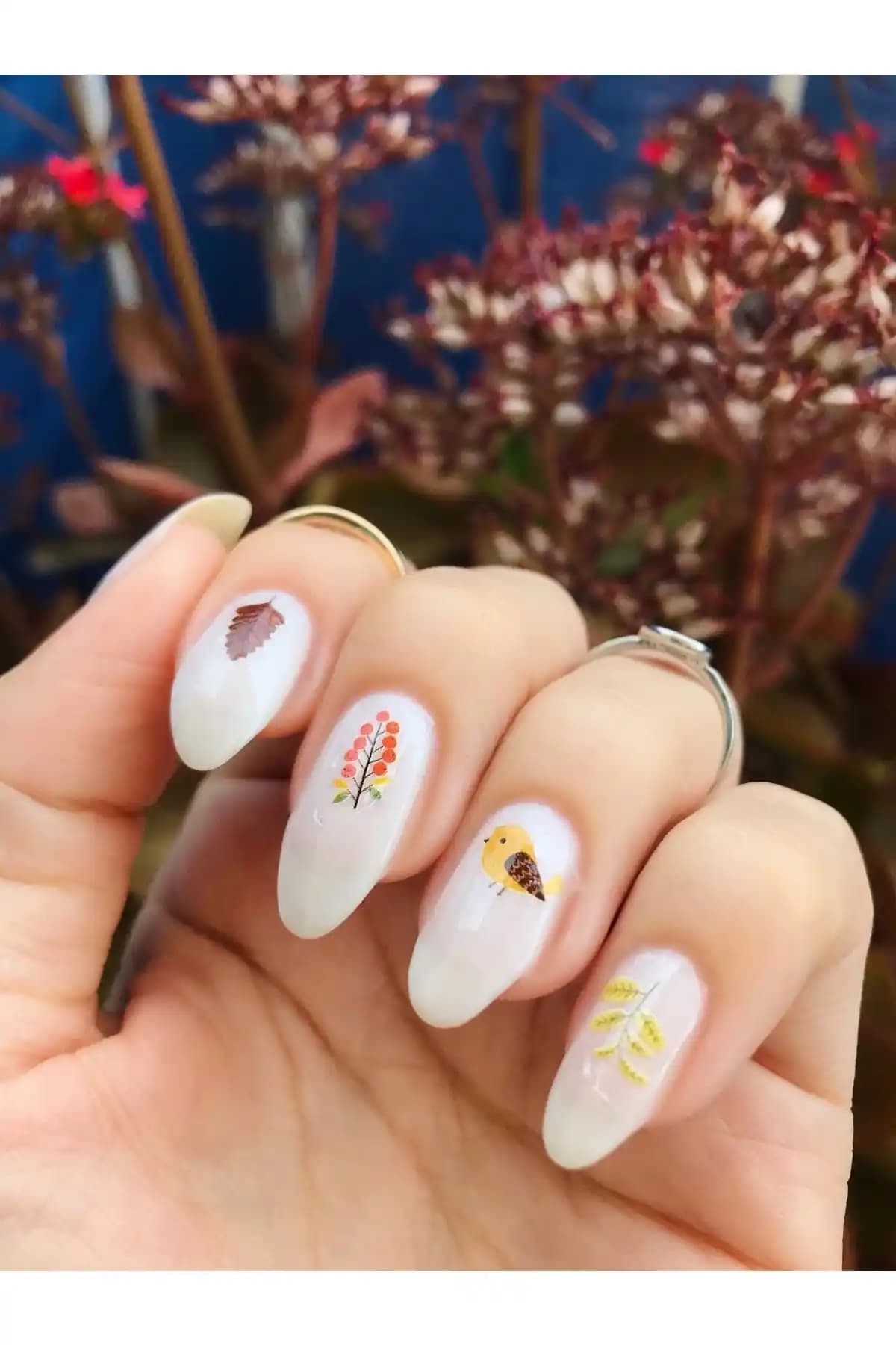 Renkli ve Detaylı Tırnak Dövmesi ve Nail Art Seti ile Şık ve Pratik Tırnak Tasarımları