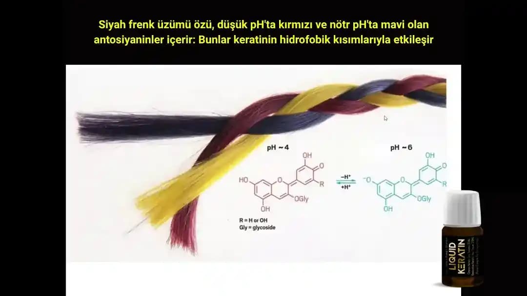 Saç Bakımında Protein Kullanımı ve Fazlasının Saç Sağlığı Üzerindeki Etkileri