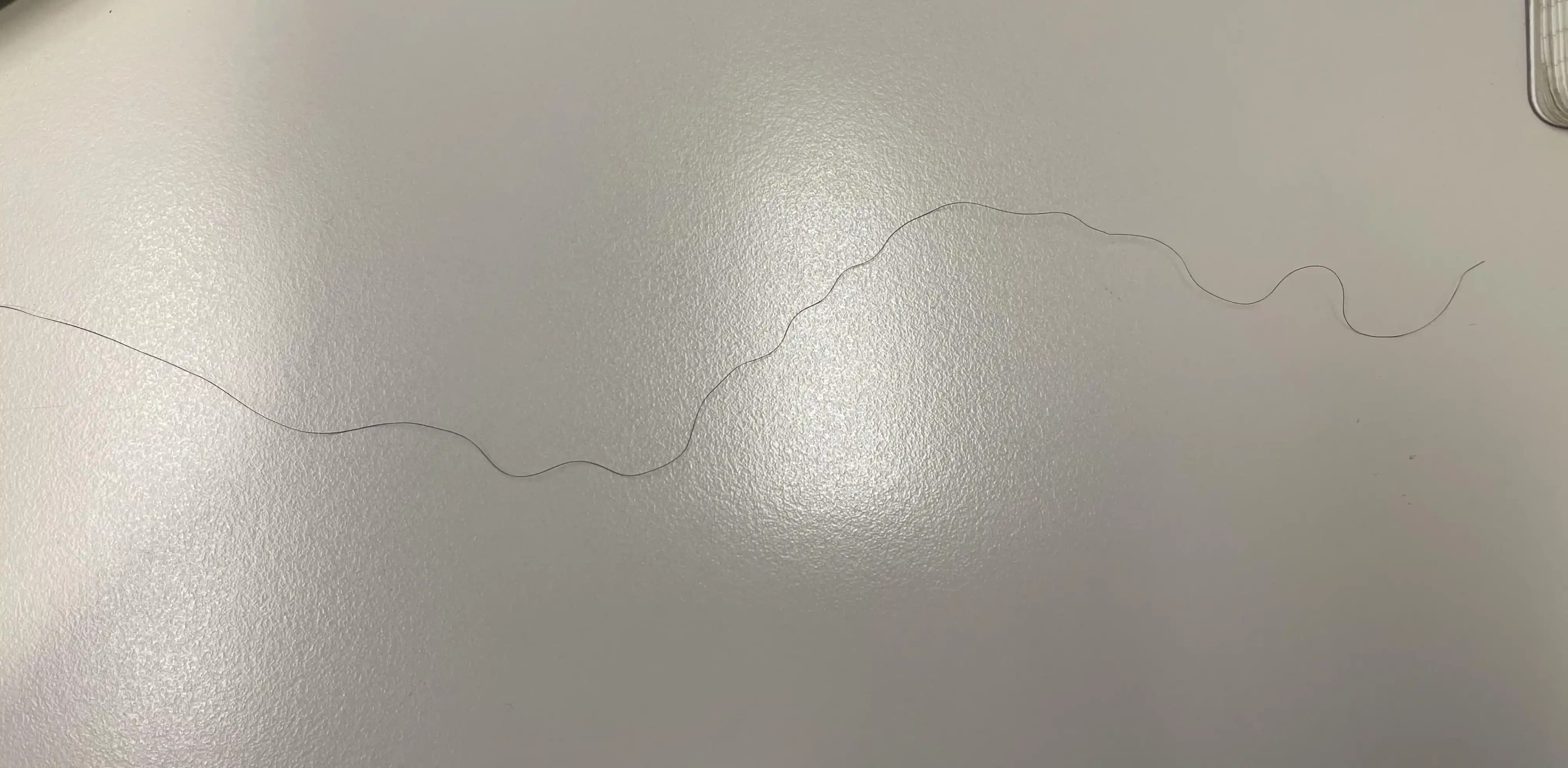 Saçtaki Farklı Tüylerin Nedenleri ve Bilimsel Açıklamaları: Folikül, Sağlık ve Çevresel Etkiler