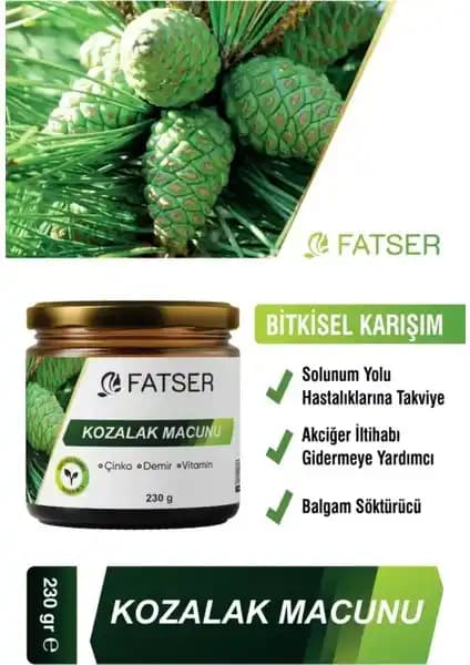 Fatser Kozalak Macunu Çam Kozalağı ile Doğal Cilt ve Boğaz Bakımı 240 Gr