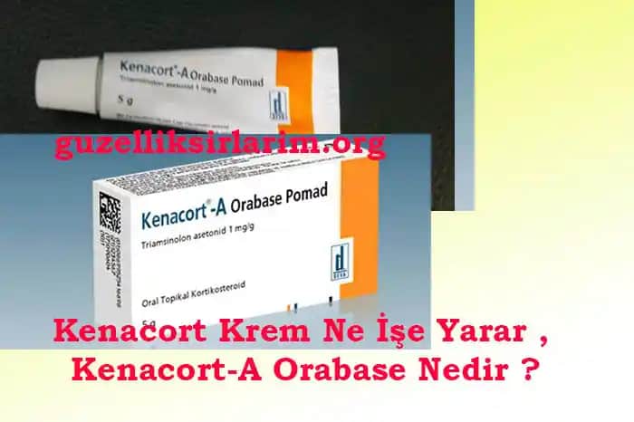 Ağız Kremi Kullanımı ve Çeşitleri: Ağız Sağlığınız İçin Etkili Çözümler