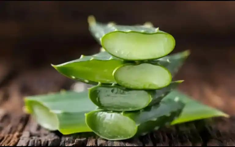 Aloe Vera ile Cilt Lekelerine Doğal Çözüm: Kullanım Yöntemleri ve Etkileri