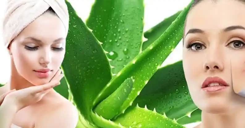 Aloe Vera ile Doğal Cilt Bakımı Yöntemleri ve Faydaları Hakkında Bilgi