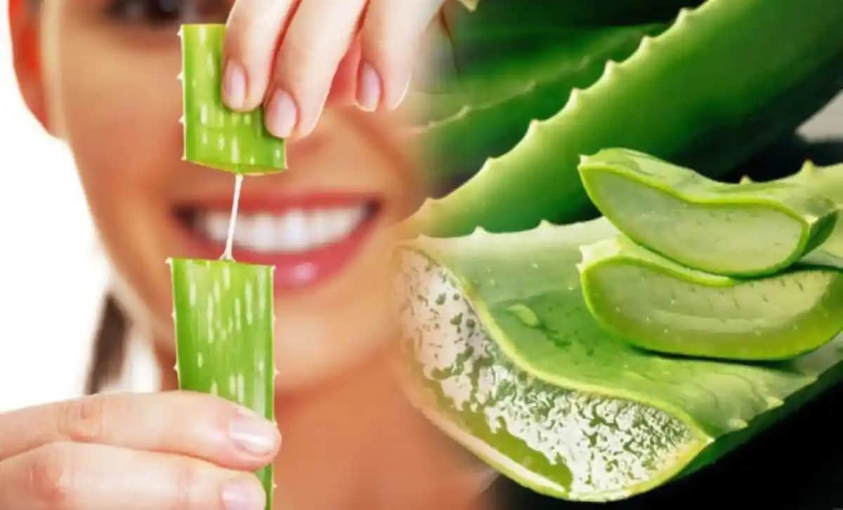 Aloe Vera Jeli Faydaları ve Kullanım Alanları Doğal Güzellik ve Sağlık İçin