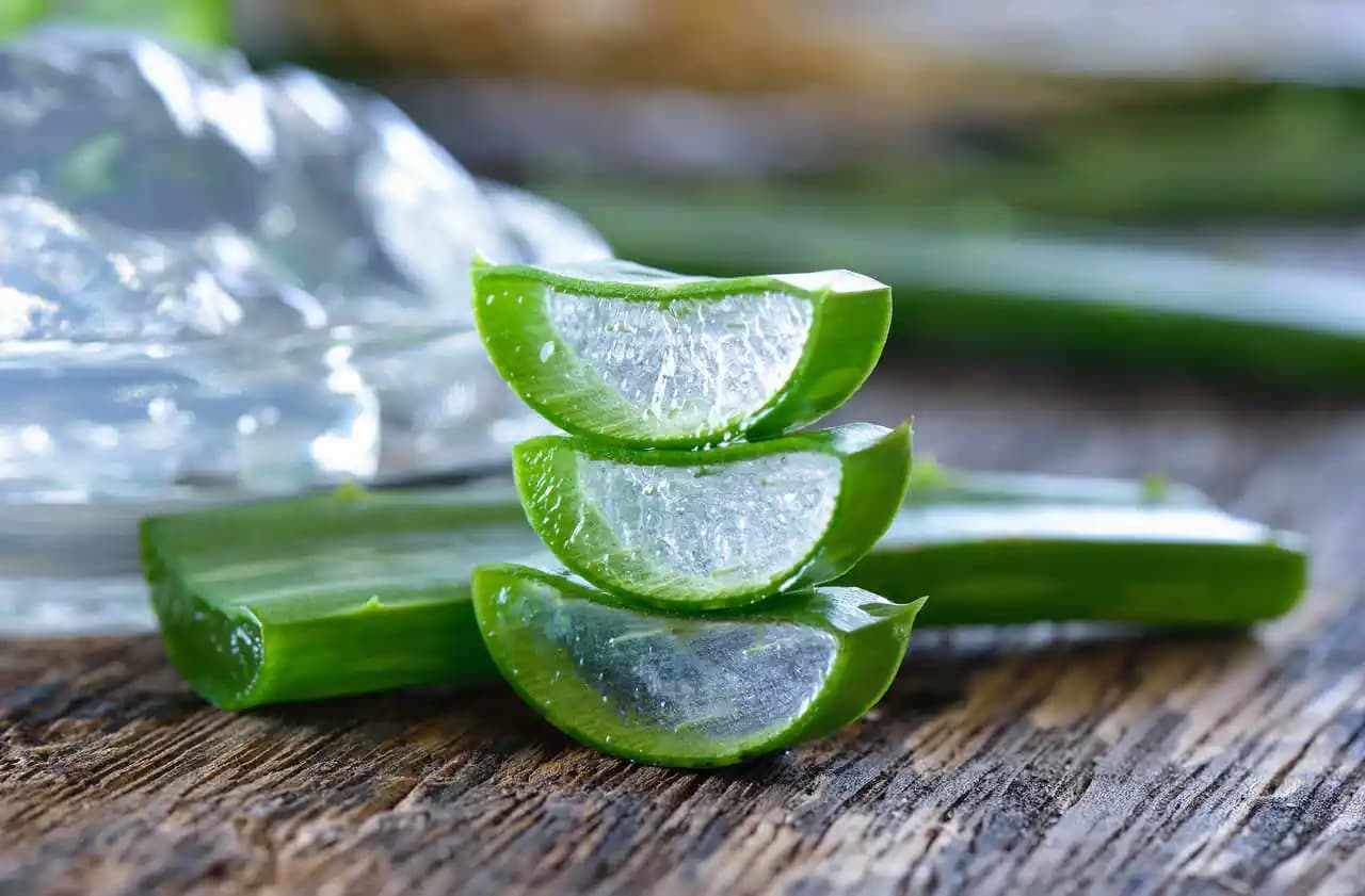 Aloe Vera Jeli Nedir ve Cilt ile Saç Sağlığına Faydaları Nelerdir