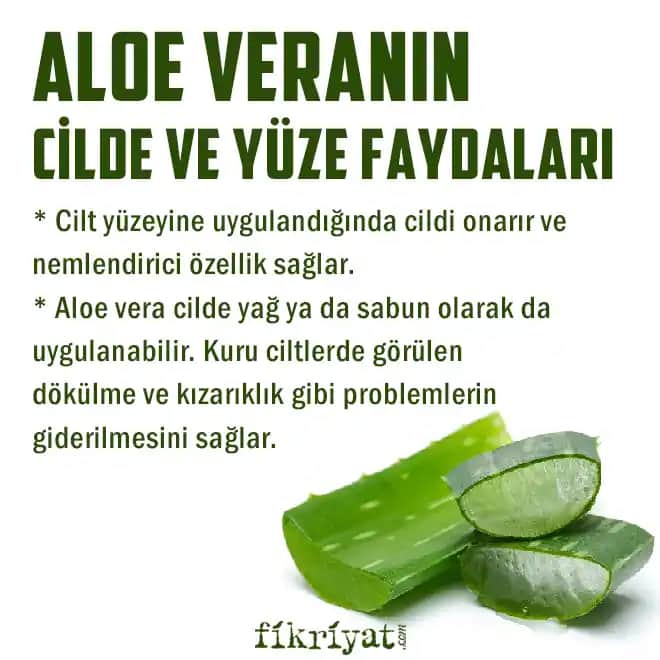 Aloe Vera Jeli Yüze Sürülür Mü? Cilt Sağlığı ve Kullanım Yöntemleri