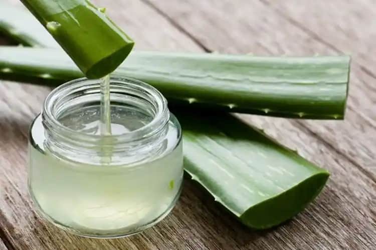 Aloe Vera Yüzde Uygulama Süresi ve En İyi Kullanım İpuçları
