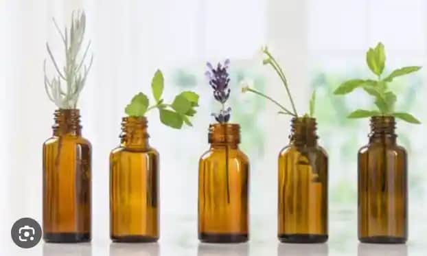 Aromaterapi Yağlarının Özellikleri ve Kullanım Alanları Detaylı Rehber