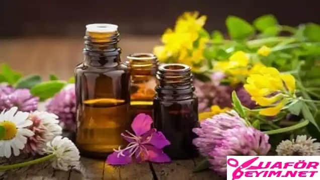 Aromatik Yağlar ve Kozmetik Uygulamalarda Kullanım Yöntemleri