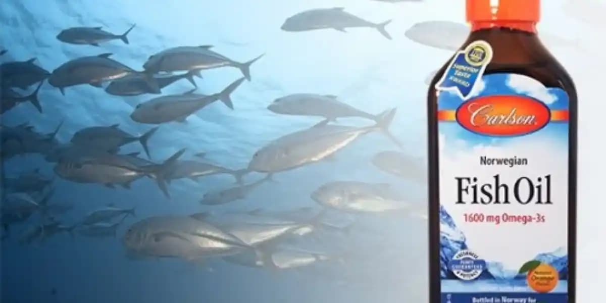 Balık Yağı Seçenekleri ve Sağlık Üzerindeki Etkileri Hakkında Kapsamlı Bilgi