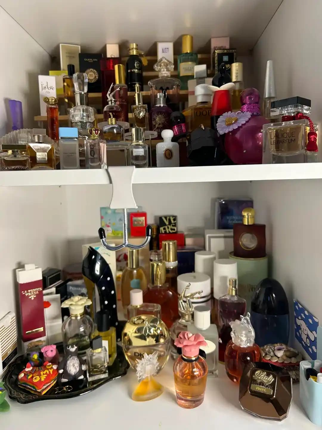 Parfüm Koleksiyonları: Kişisel Tercihler ve Kokuların Değerlendirilmesi