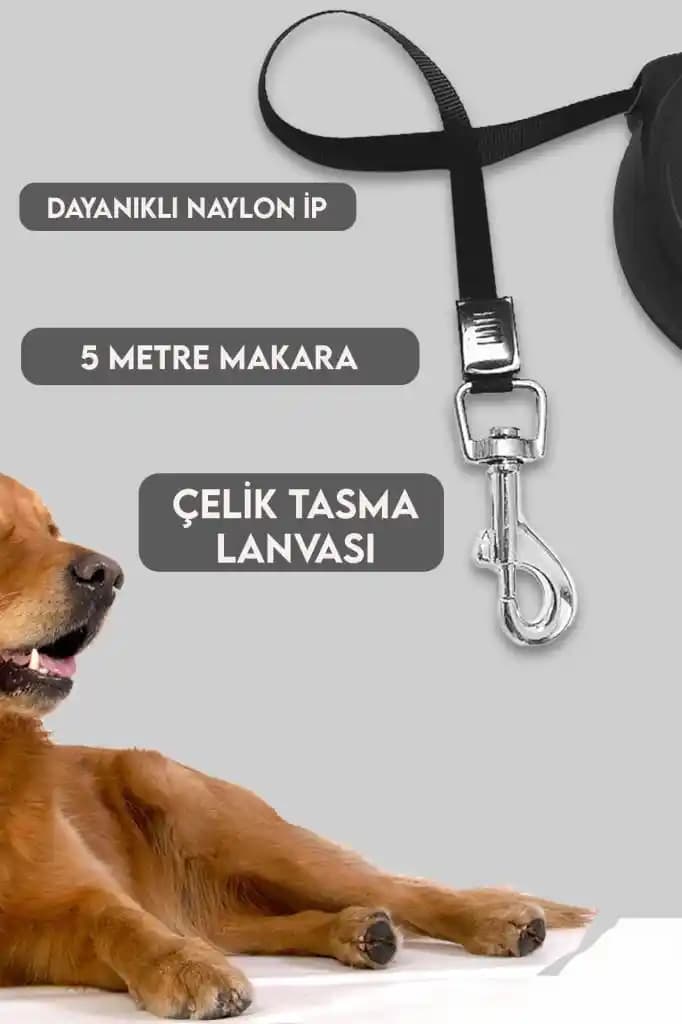 5 Metre Uzunluğundaki Makaralı Otomatik Köpek Tasması Seçenekleri ve Kullanım İpuçları