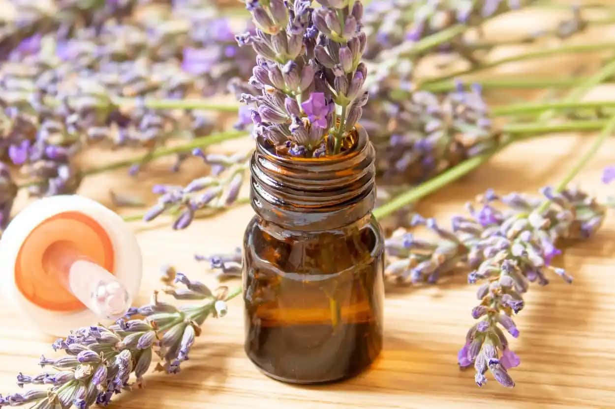 Bebeklerde Lavanta Yağı Kullanımı: Güvenlik ve Faydalar Hakkında Bilmeniz Gerekenler