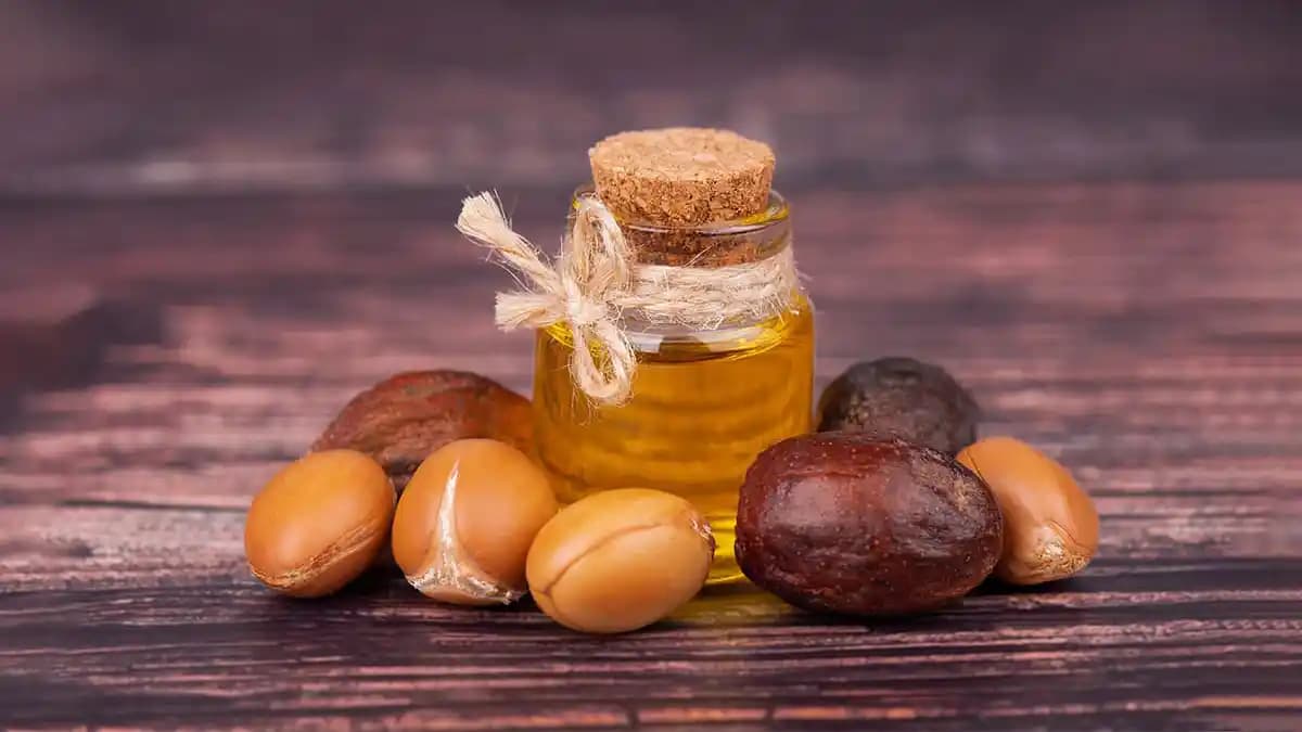 Doğal Argan Yağı Faydaları ve Kullanım Alanları Cilt ve Saç Bakımında