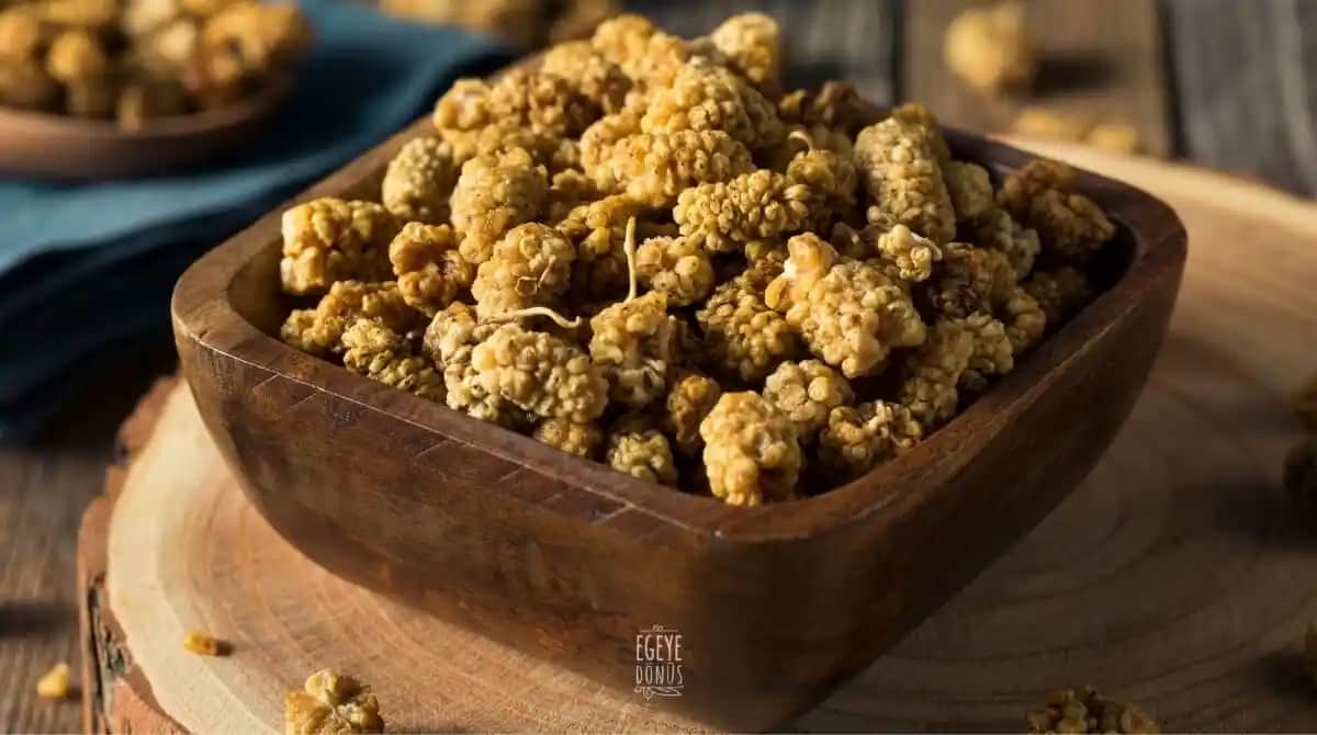 Dut Kurusu ve Kozmetik: Doğanın Gücüyle Güzelliğinizi Destekleyin ve Koruyun