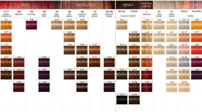 IGORA Kataloğu: Profesyonel Saç Boyalarında Güvenilirlik ve Geniş Renk Seçenekleri