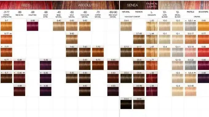 IGORA Kataloğu: Profesyonel Saç Boyalarında Güvenilirlik ve Geniş Renk Seçenekleri