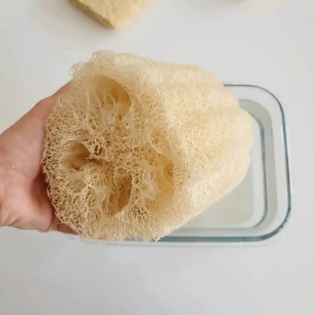 Kabak Lifi Temizliği ve Bakım İpuçları Doğal Cilt Temizliği İçin Uygun Yöntemler