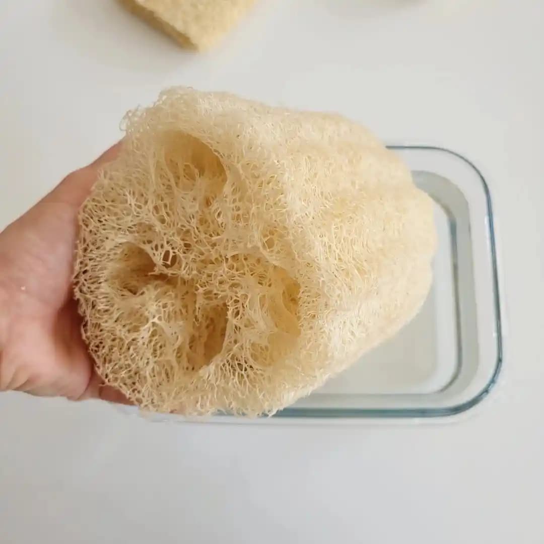 Kabak Lifi Temizliği ve Bakım İpuçları Doğal Cilt Temizliği İçin Uygun Yöntemler