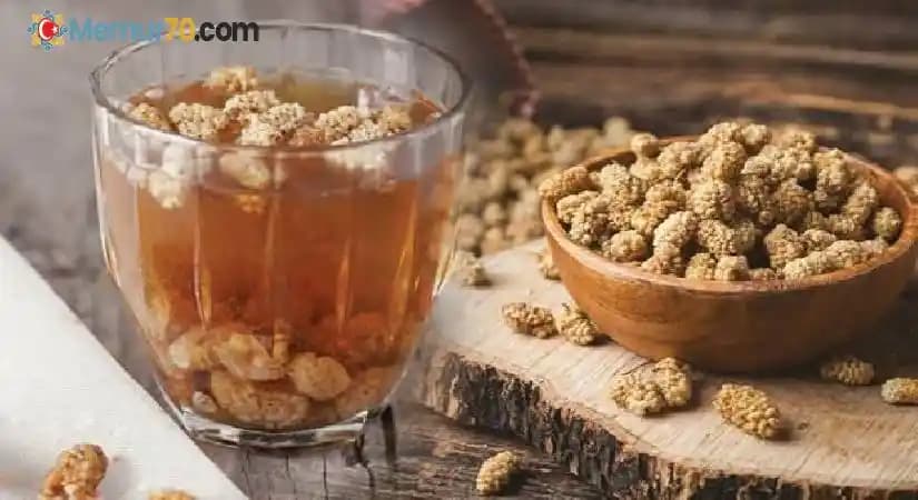 Kuru Dut Suyunun Kozmetik ve Sağlık Üzerindeki Faydaları ve Kullanım İpuçları