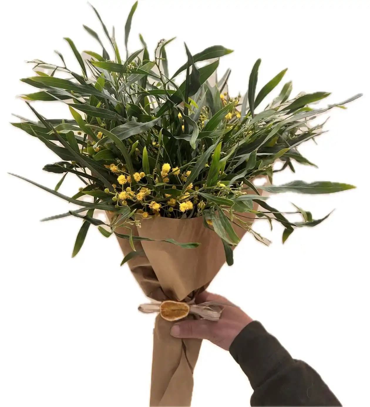 Mimoza Çiçeğinin Kozmetik ve Güzellik Sektöründeki Yeri ve Kullanım Alanları