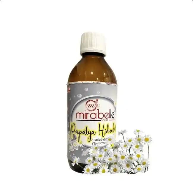 Papatya Suyu ile Doğal Güzellik ve Bakım Yöntemleri