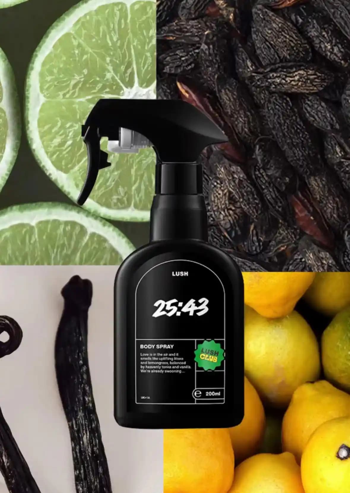 Lush 25:43 Kokusu 15 Yıl Sonra Yeniden Piyasada: Turunçgiller ve Bitkisel Notalarla Zenginleşen Koku